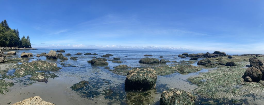 Northwestern coast of the Olympic Peninsula, Washington