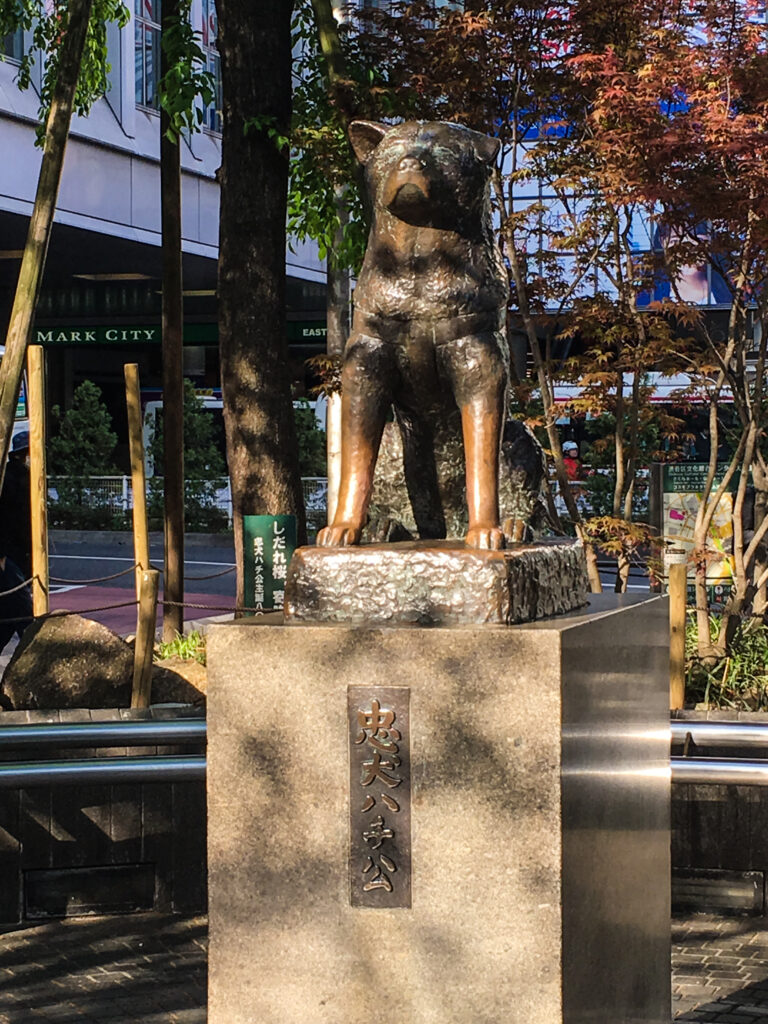 A bronze statue of Hachiko the dog, in Shibuya.