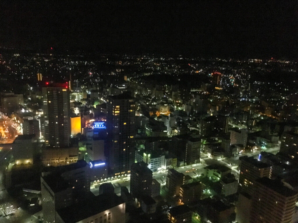 A view of the city of Hamamatsu, taken at night.