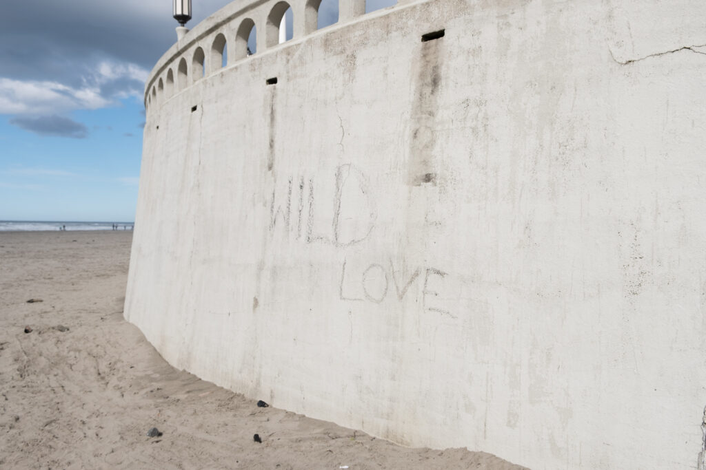Graffiti text saying "Wild Love" carved into a concrete wall at the beach in Oregon.