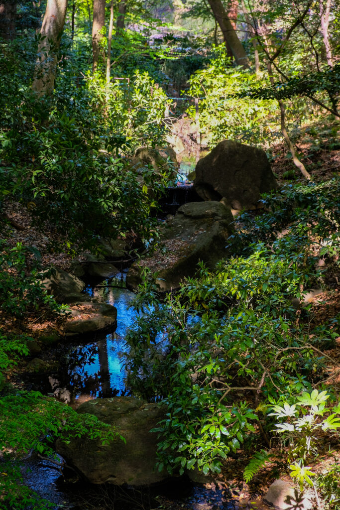 A small brook on the path to the Meiji Jingu.