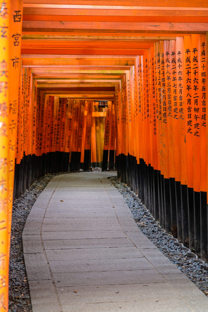 The path surrounded by torii gates bends around to the right.