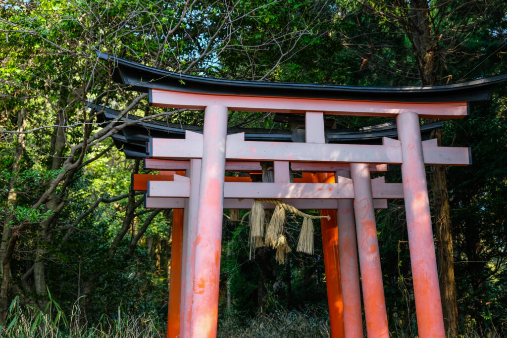 Several torii gates where the orange has started to fade to white on the upper parts of the gate.