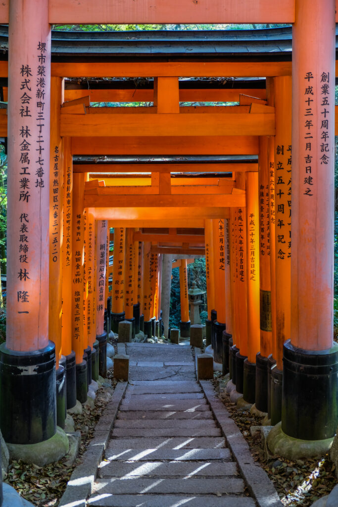 Heading down Mt. Inari, on the path with many torii gates.
