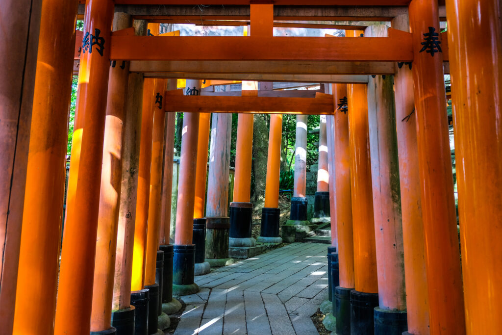 A stone path straddled by orange torii gates, with sunlight shooting through the space between the gates.