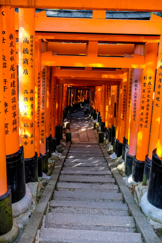 Stone steps lead down the path lined with torii gates.