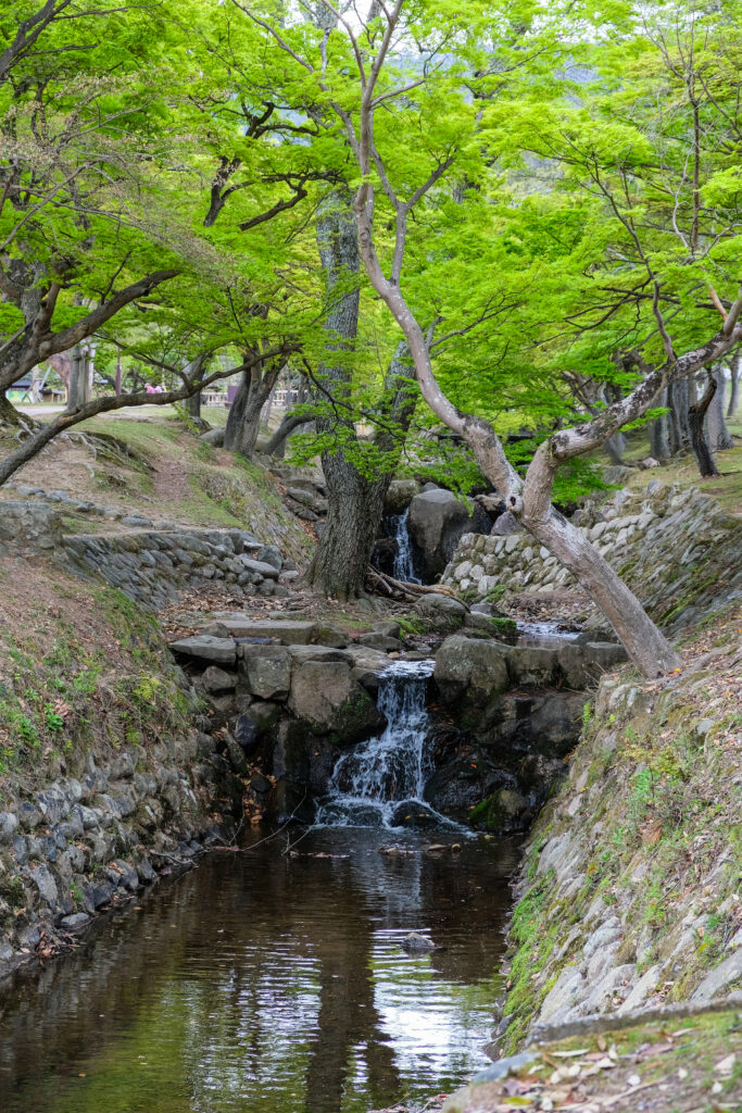 A small brook with waterfall in Nara Park, Nara, Japan.