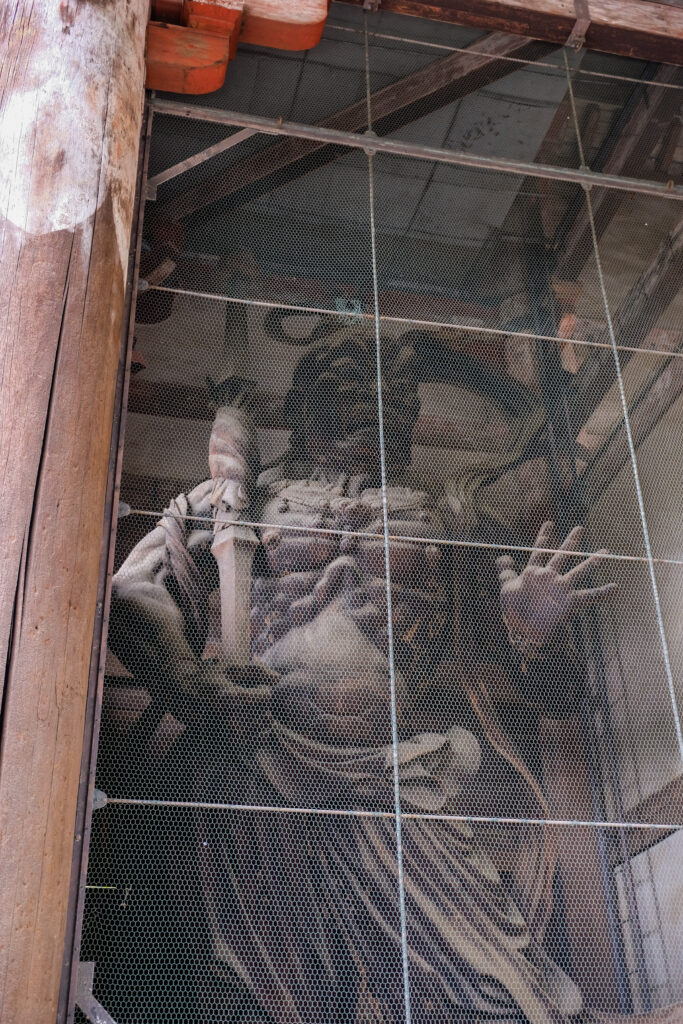 A very large (more than two stories tall) statue, behind a mesh fence. Nara, Japan.