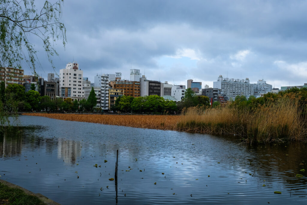 A view of the lake at Ueno Park, Tokyo, Japan.