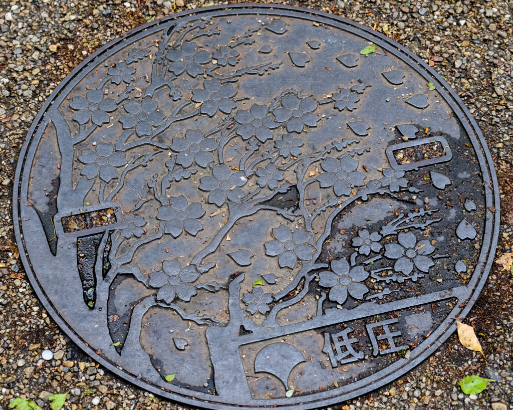 A large maintenance cover (manhole cover), depicting a sakura tree.