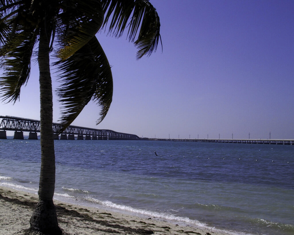 The beach on Bahia Honda Key in Florida. A palm tree is in the foreground, and the new (and old) Seven Mile Bridge in the distance.