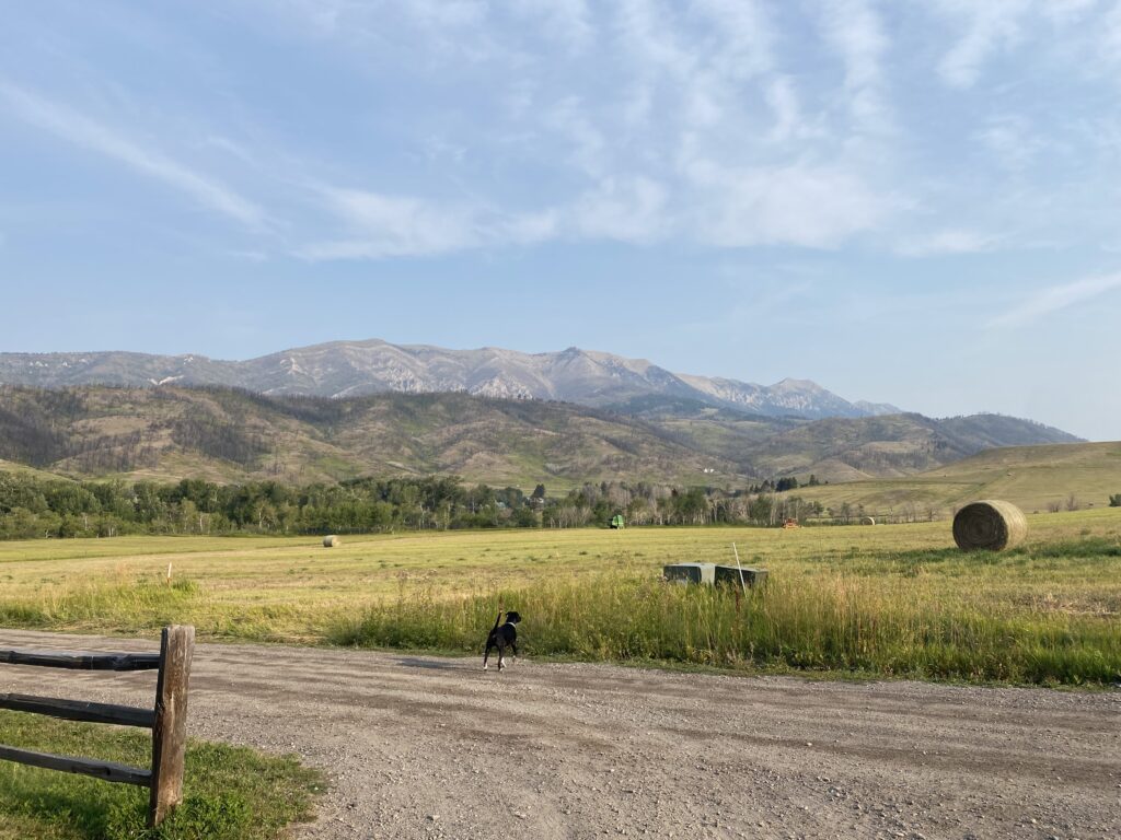 On a dirt road in Montana, looking out at some mountains in the distance